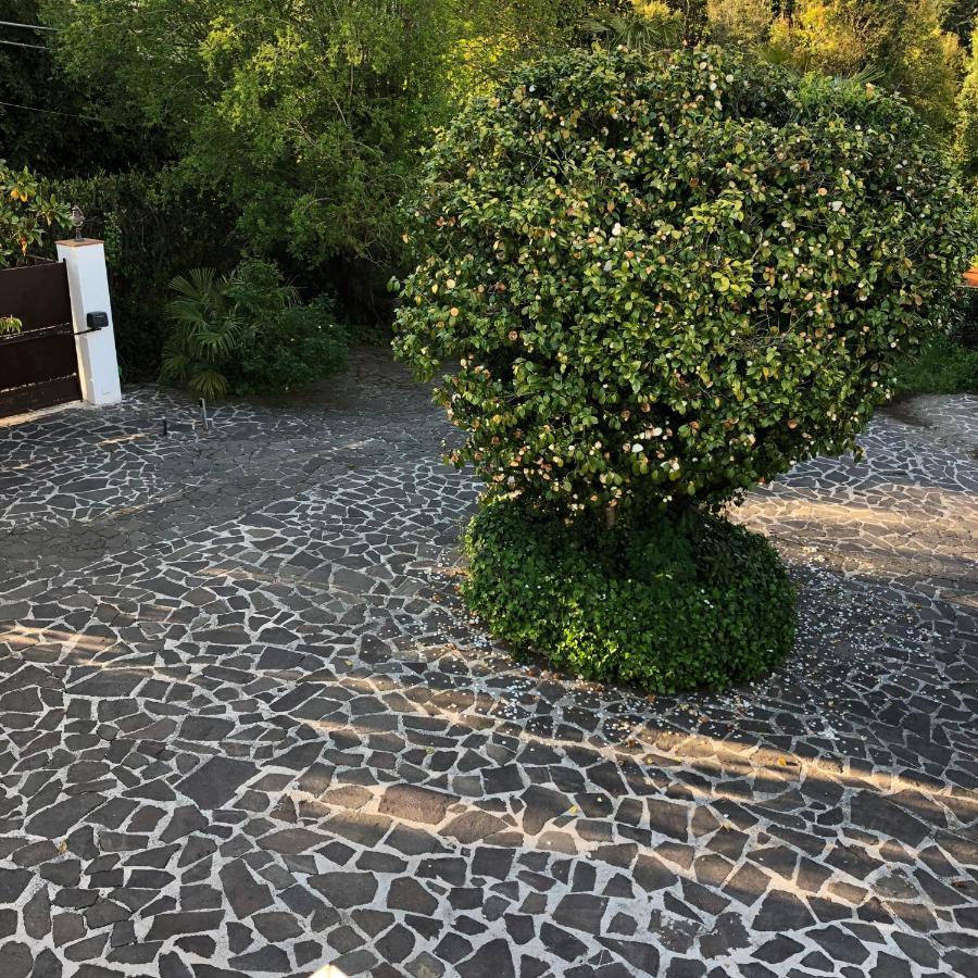 Casa Gramapa Villa Rocca Priora  Exterior photo
